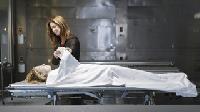 Body Of Proof